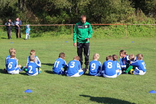 开云-法甲球队防守战术调整后定位球防守成功率提升分析，法甲实力定位